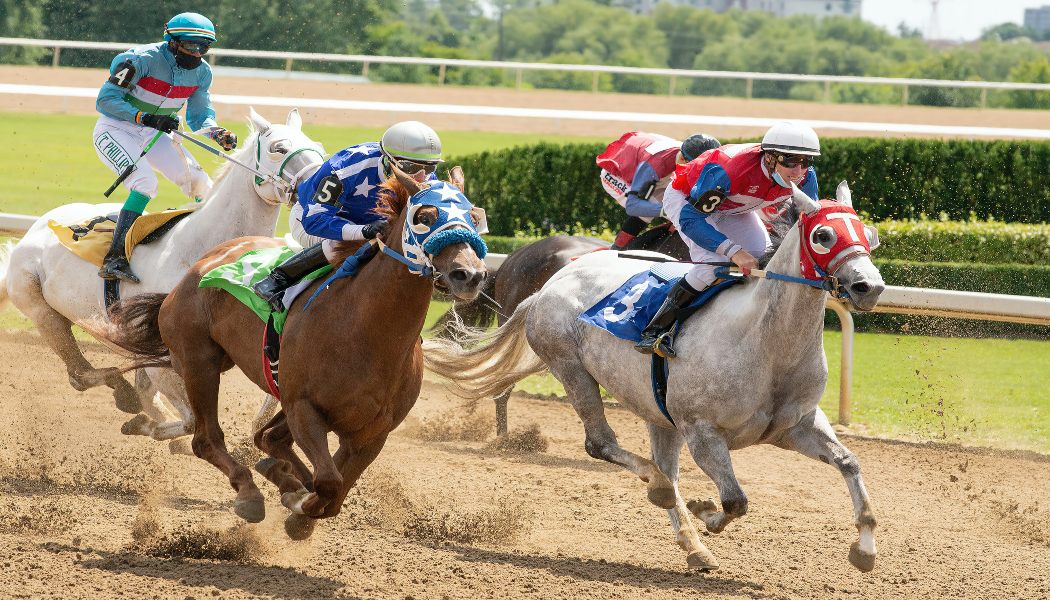 How Online Horse Race Betting Works|Complete Guide