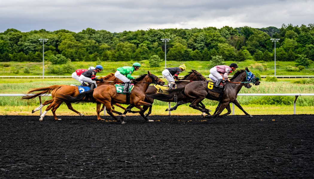 Horse Racing Online Guide-- Bet Now on JeetWin